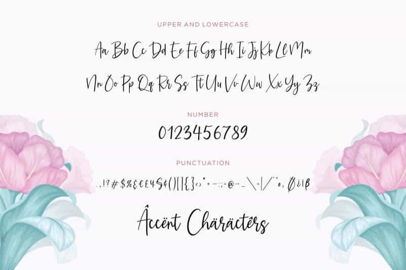 Amaryllin Blossom Handwritten Font Image 3