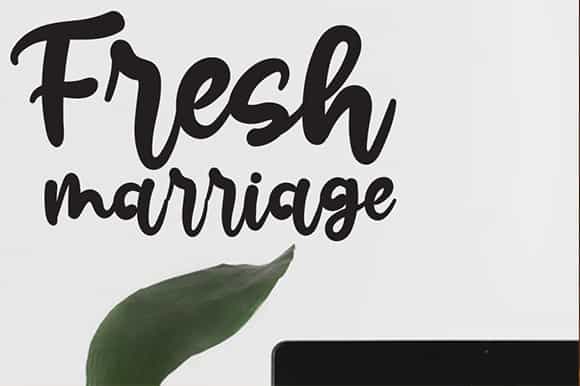 Beauty Brush Script Font Image 2