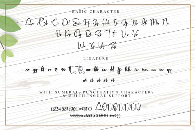 Bethania Modern Calligraphy Font Image 3