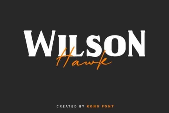 Wilson Hawk Serif Font Image 1