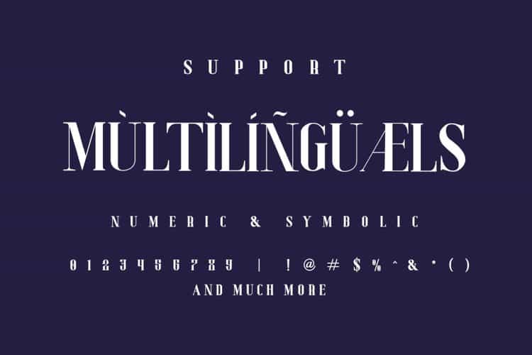 Deluxe Luxury Serif Font Family Image 3