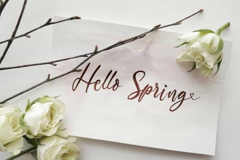 The Austin Handwritten Script Font Image 2