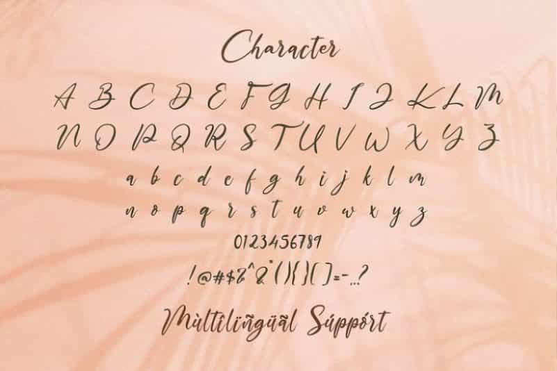 The Austin Handwritten Script Font Image 3