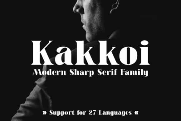Kakkoi Serif Font Image 1
