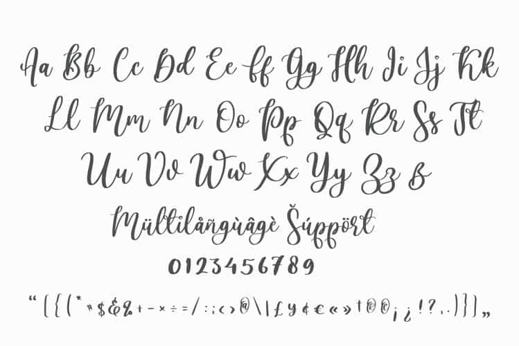 Lovely Ampersand Calligraphy Font Image 3