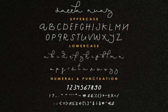 Saeela Nuary Font Duo Image 3