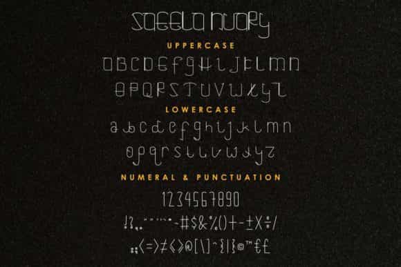 Saeela Nuary Font Duo Image 4