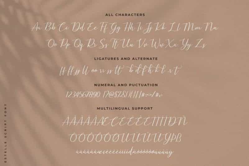 Estelle Modern Script Font Image 3