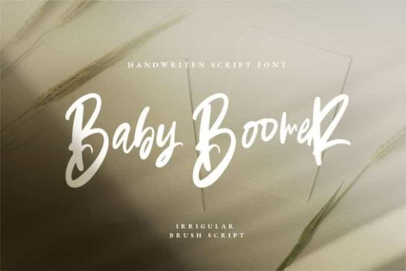 Baby Boomer Brush Script Font Image 1