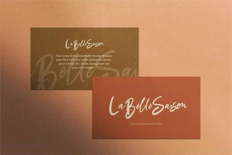 Baby Boomer Brush Script Font Image 3