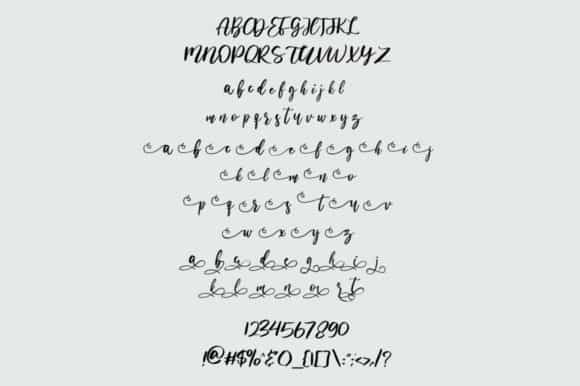Barcelona Modern Calligraphy Font Image 3