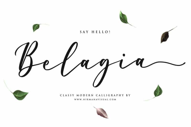 Belagia Classy Calligraphy Font Image 1