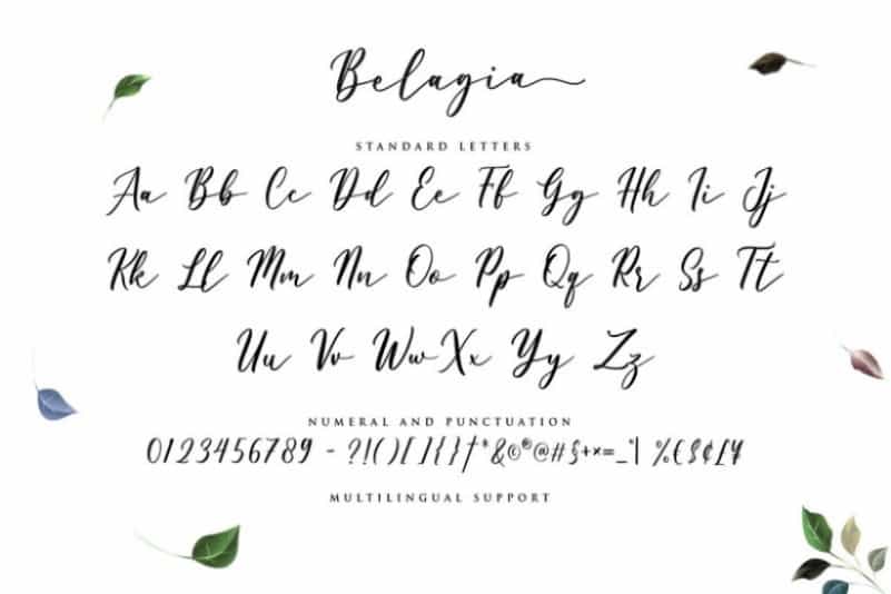 Belagia Classy Calligraphy Font Image 3