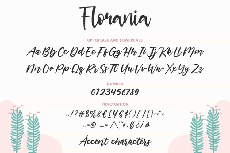 Florania Modern Calligraphy Font Image 3