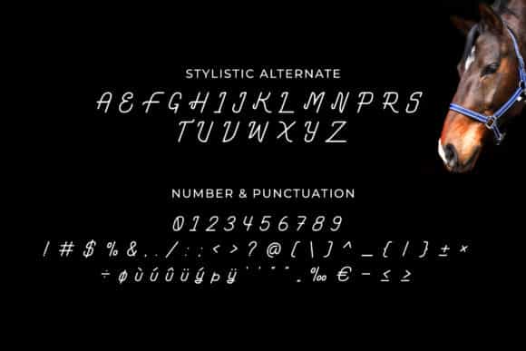 Ramona Kiev Monoline Font Image 4