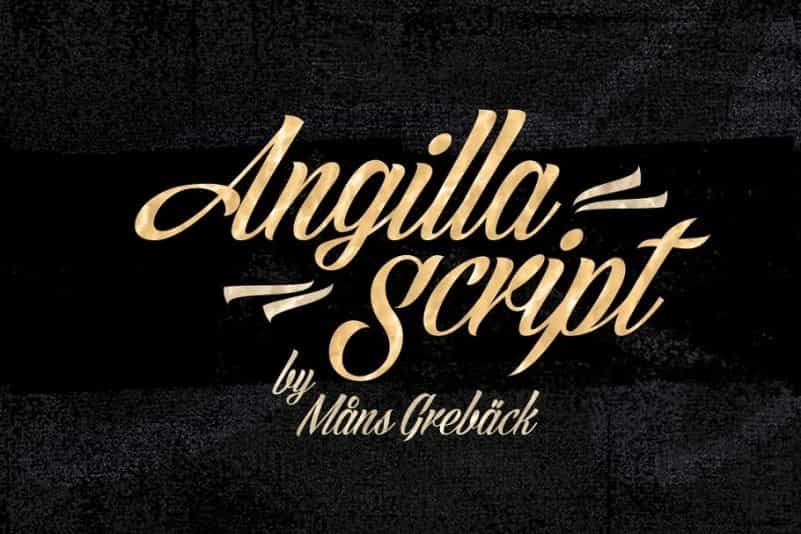 Angilla Script Font Image 1