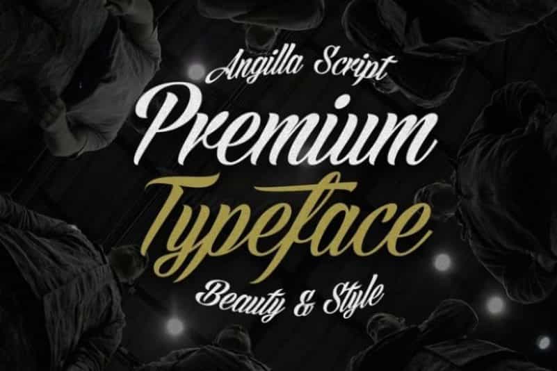 Angilla Script Font Image 2