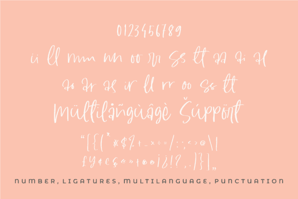 South Dreamers Script Font Image 4