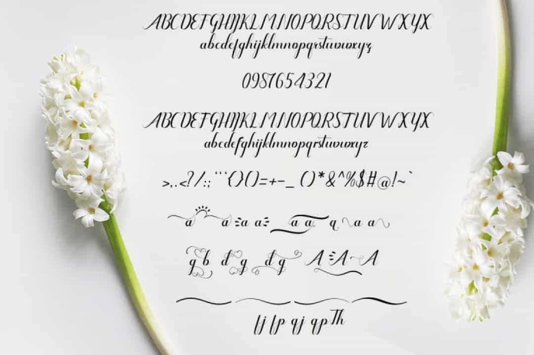 Amanda Font Image 3