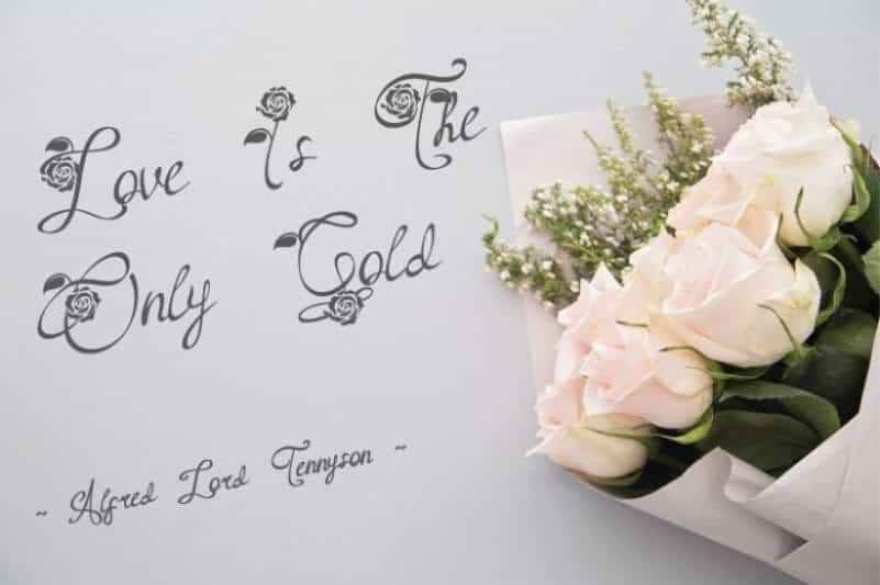 Rose Hellisa Calligraphy Font Image 2