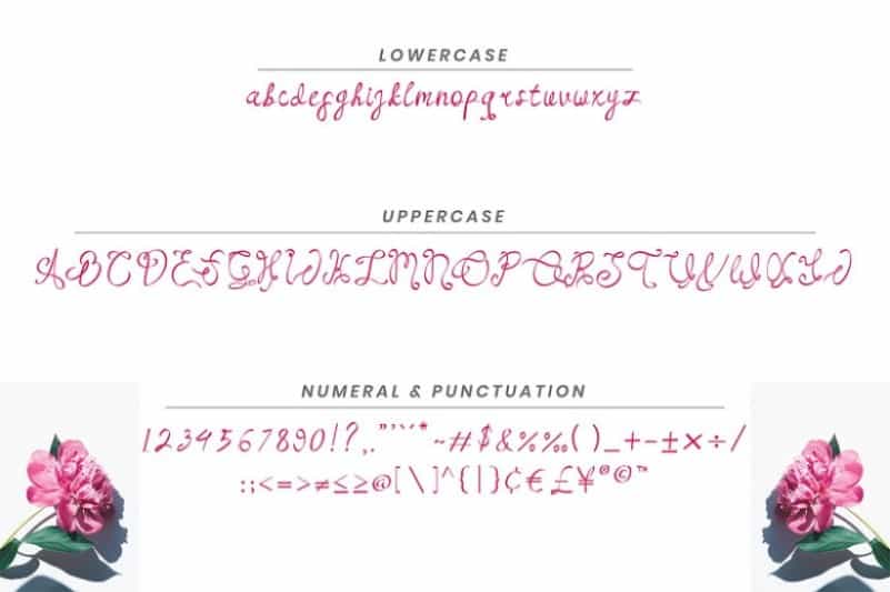 Rose Hellisa Calligraphy Font Image 3