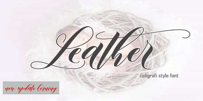 Leather Font Image 1
