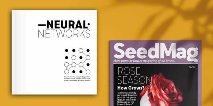 Senkron Sans Font Family Image 2