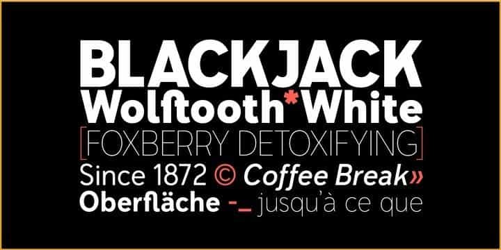 Senkron Sans Font Family Image 3