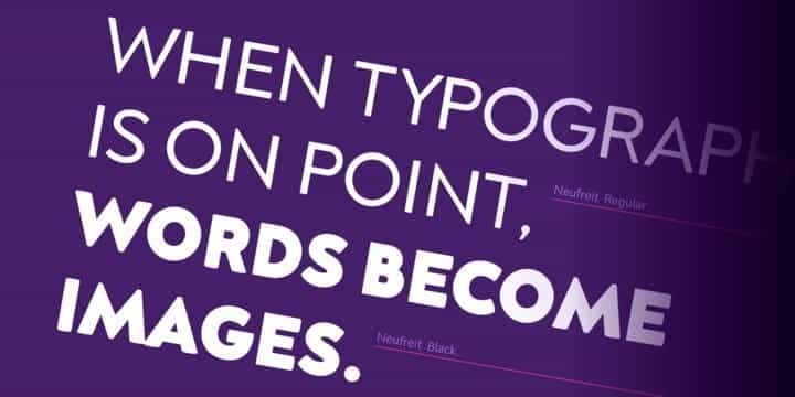 Neufreit Sans Serif Font Image 3