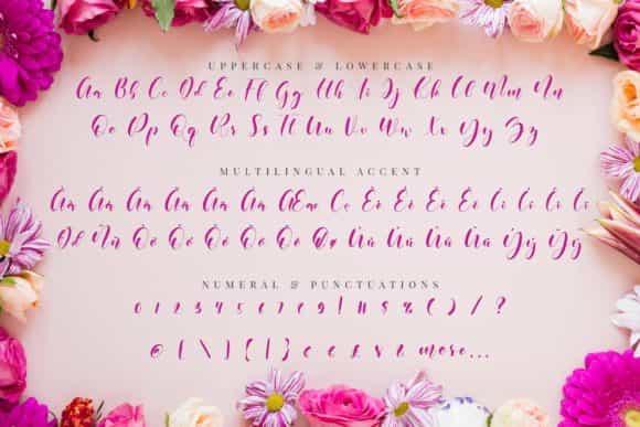 Beneficha Calligraphy Script Font Image 3