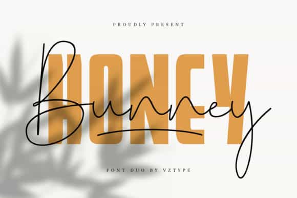 Honey Bunney Font Duo Image 1