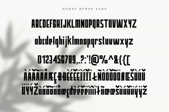 Honey Bunney Font Duo Image 3