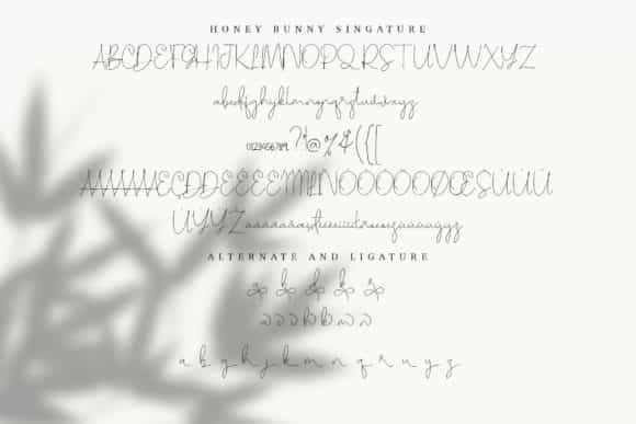 Honey Bunney Font Duo Image 4