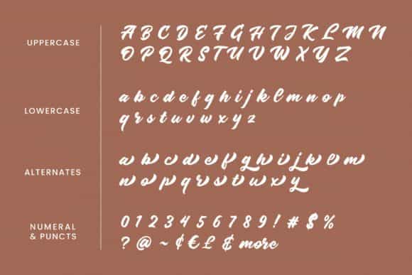 Radens Bold Script Font Image 3