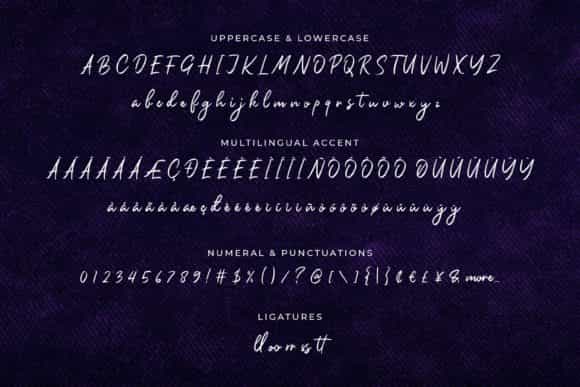 Orchide Handwritten Brush Font Image 3