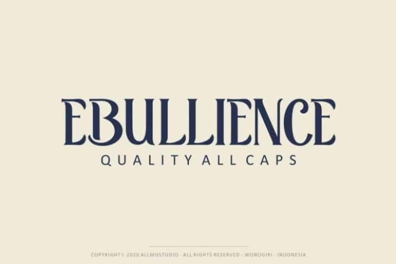 Retrophilia Bold Serif Font Image 2