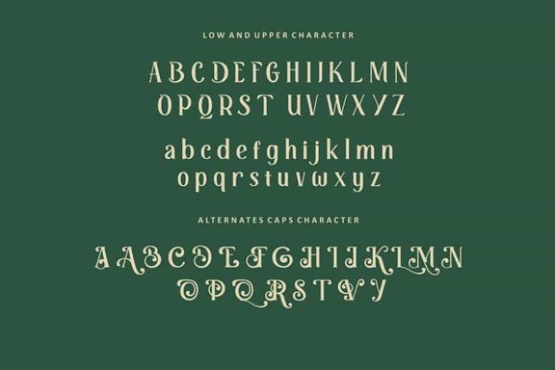 Retrophilia Bold Serif Font Image 3