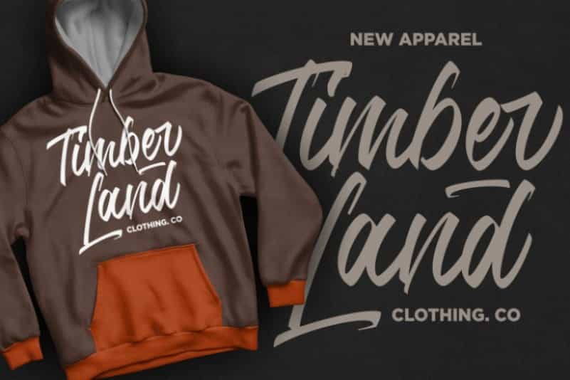 Jumps Steady Calligraphy Font Image 3