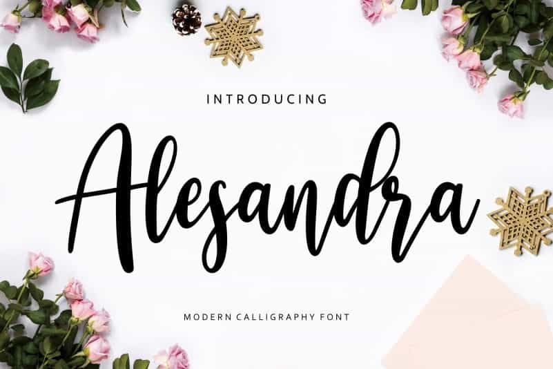 Alesandra Modern Calligraphy Font Image 1