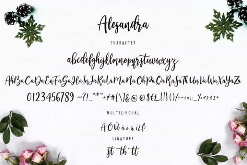 Alesandra Modern Calligraphy Font Image 3