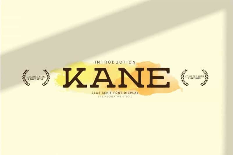 Kane Slab Serif Font Image 1