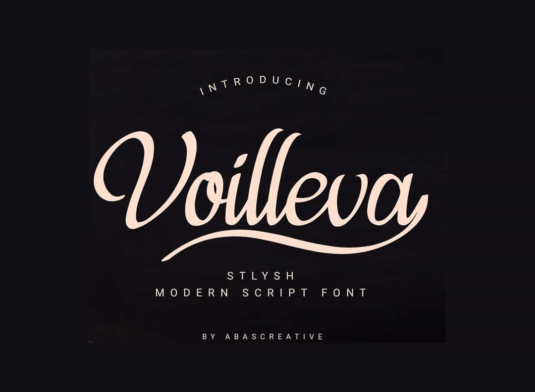 Voilleva Calligraphy Script Font Image 1