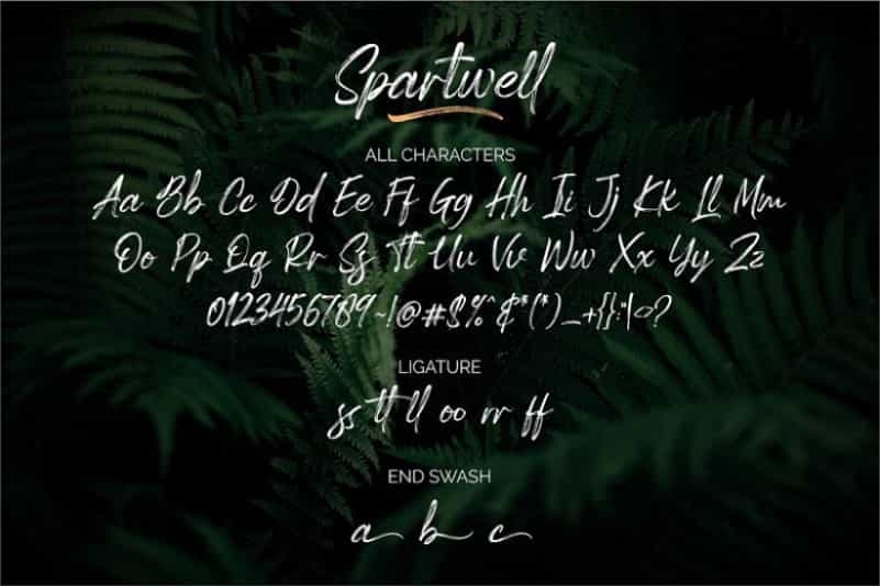 Spartwell Handwritten Brush Font Image 3