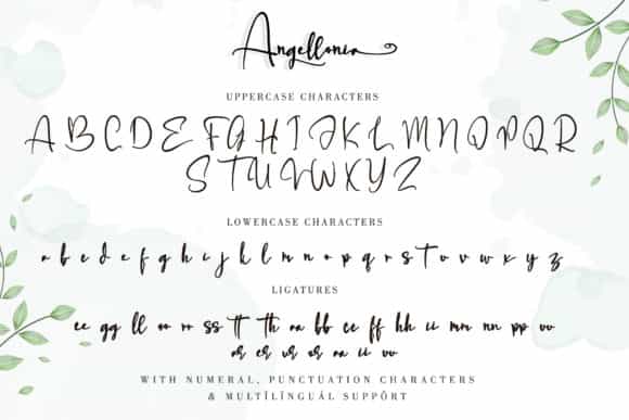 Angellonia Calligraphy Font Image 3