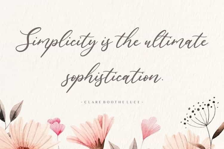 Lavineta Elegant Calligraphy Font Image 2