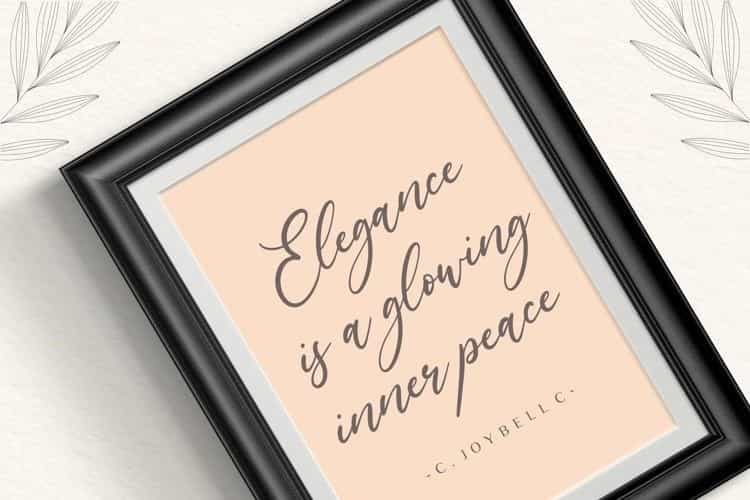 Lavineta Elegant Calligraphy Font Image 3