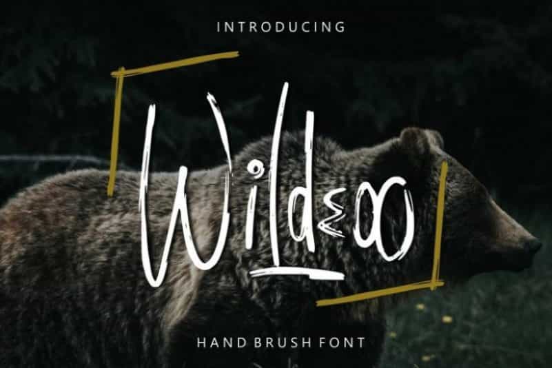 Wildeoo Hand Brush Font Image 1