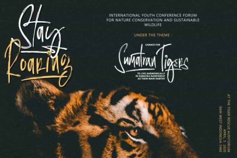 Wildeoo Hand Brush Font Image 3