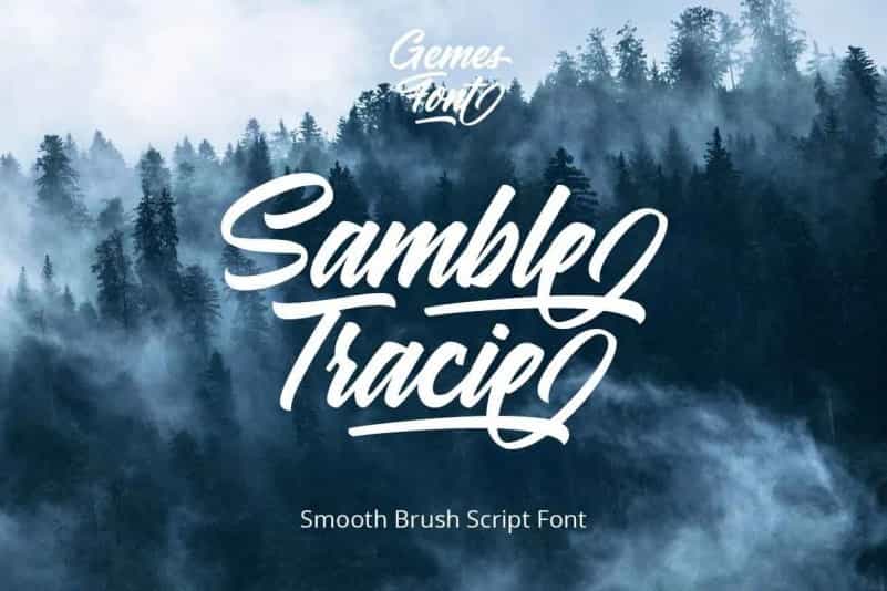 Samble Trice Brush Font Image 1