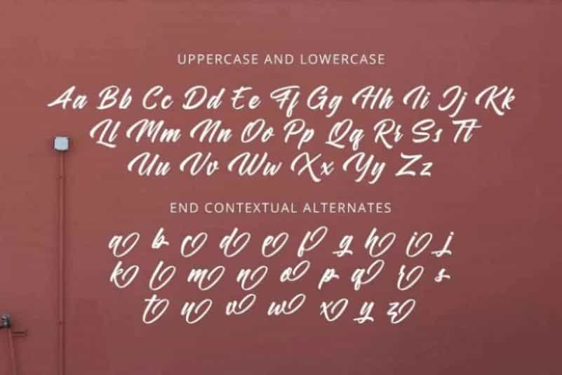 Samble Trice Brush Font Image 3